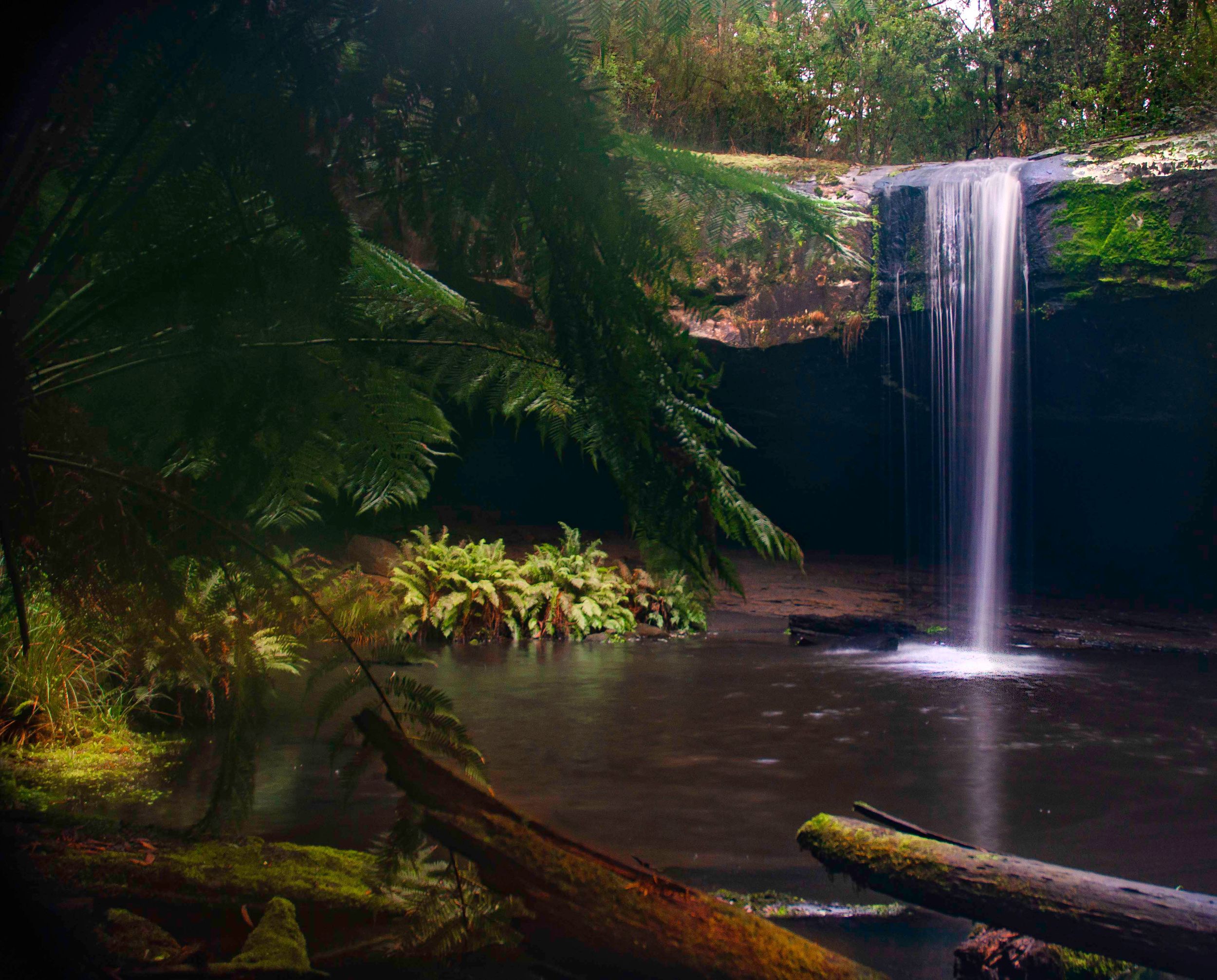 The Otways