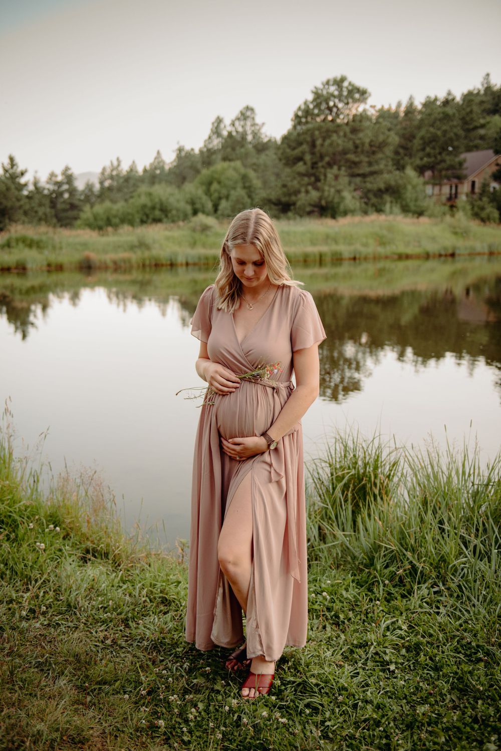 mountain conifer pine bailey evergreen denver maternity photographer