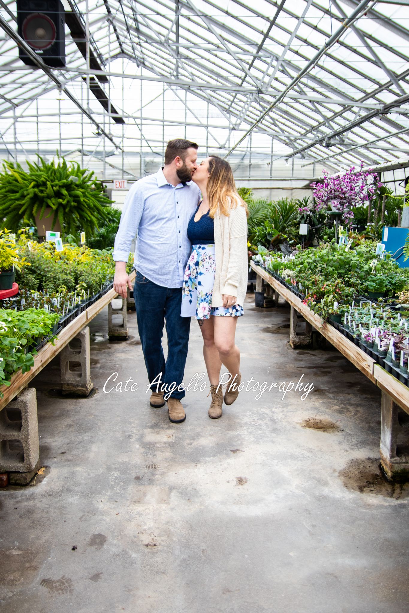 Couples portrait session in greenhouse in Hartford, Connecticut