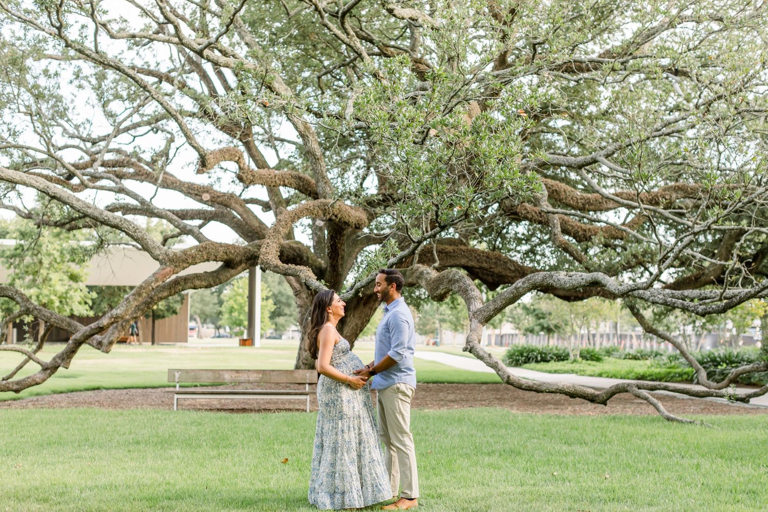 Intimate maternity photo beneath sprawling tree branches on green lawn.