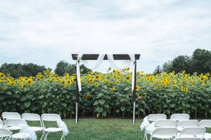 Wedding Party Portraits West Michigan Brides