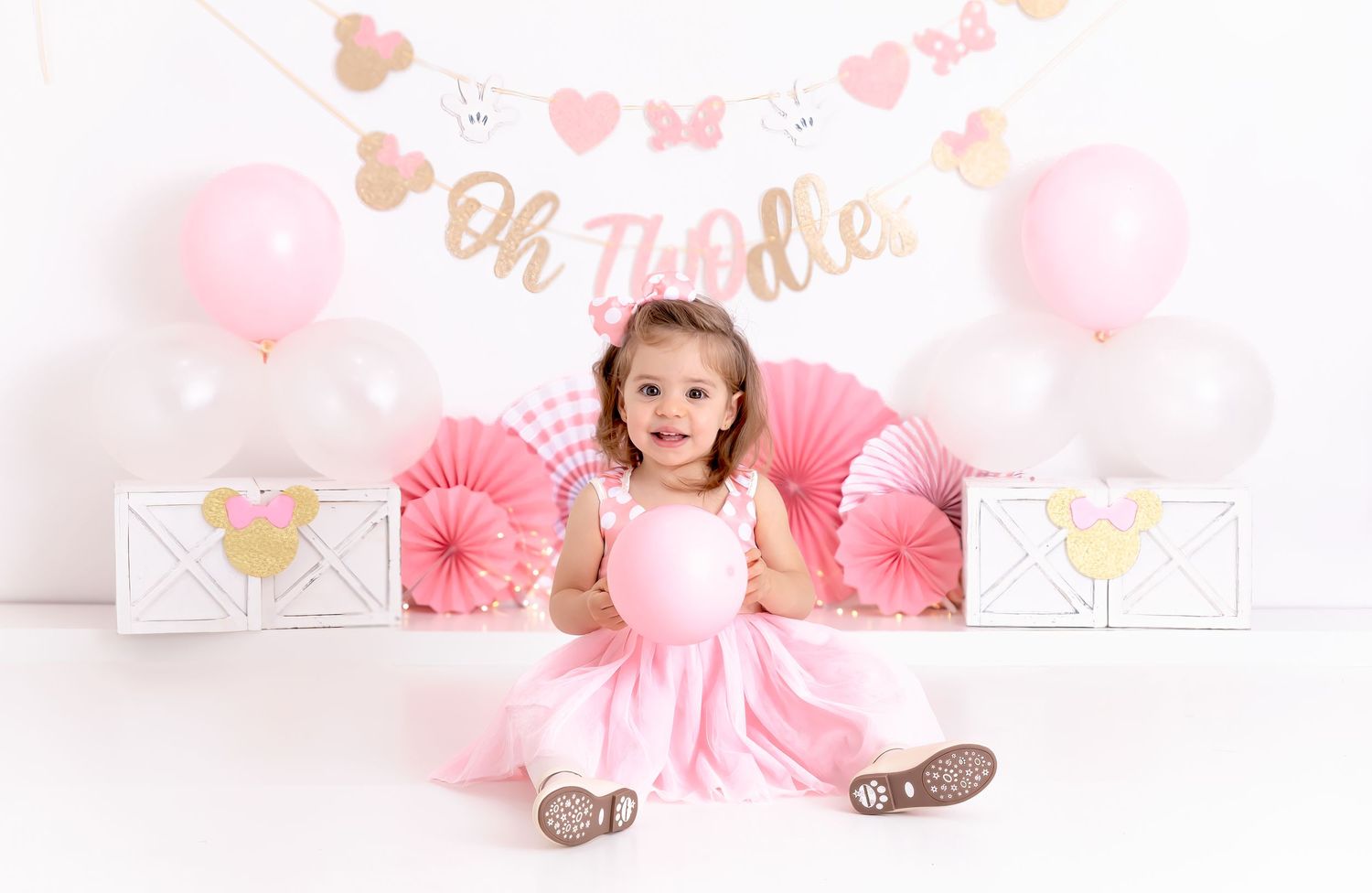Oh Twodles Minnie Mouse Theme -  1st Birthday Photography and Cake Smash Session - Port Chester, NY