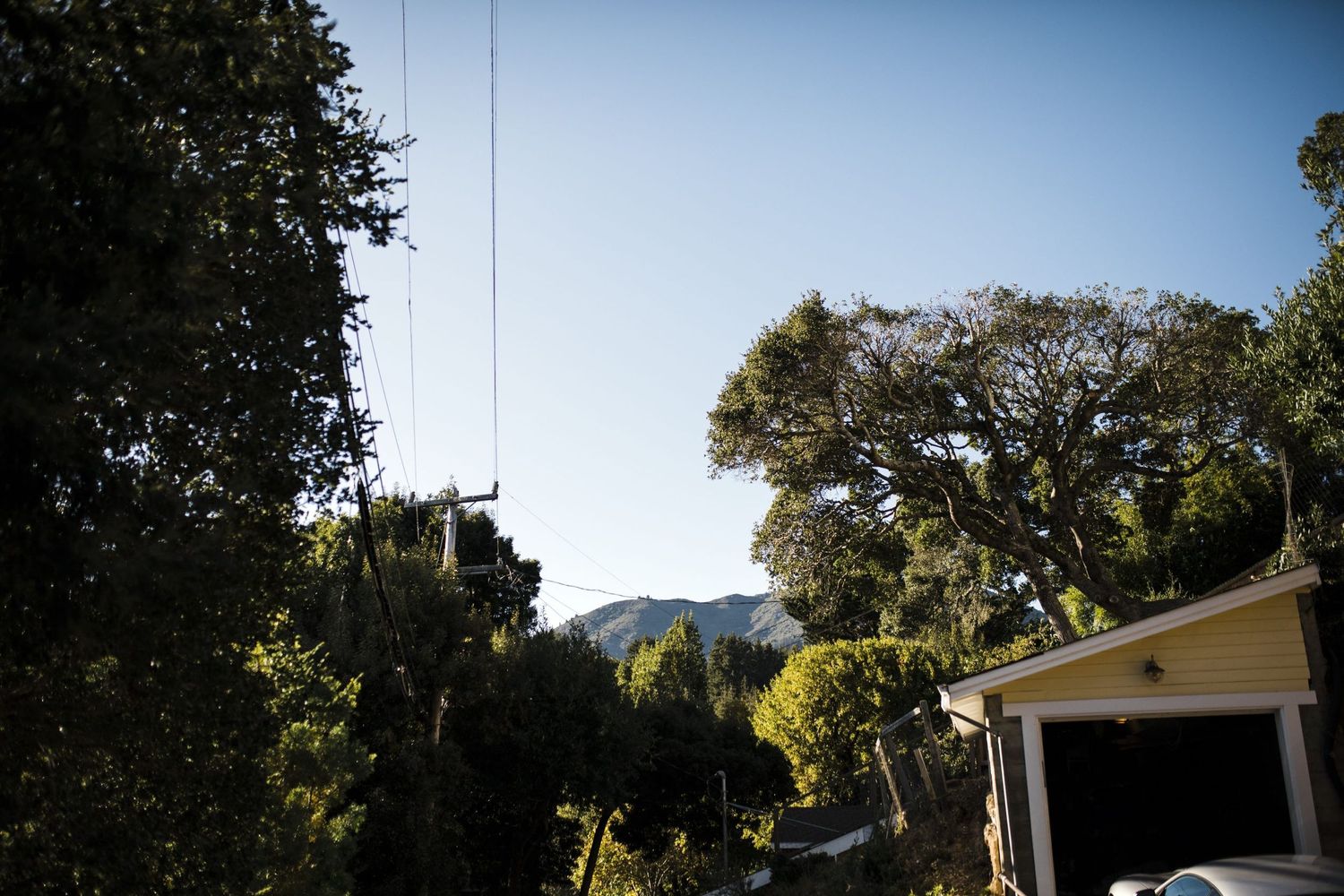 A view of Mount Tamalpais from our Airbnb.