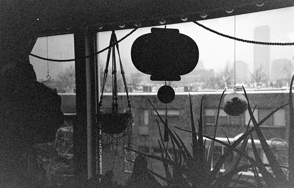 Black and white photo of hanging lanterns and plants silhouetted against window.