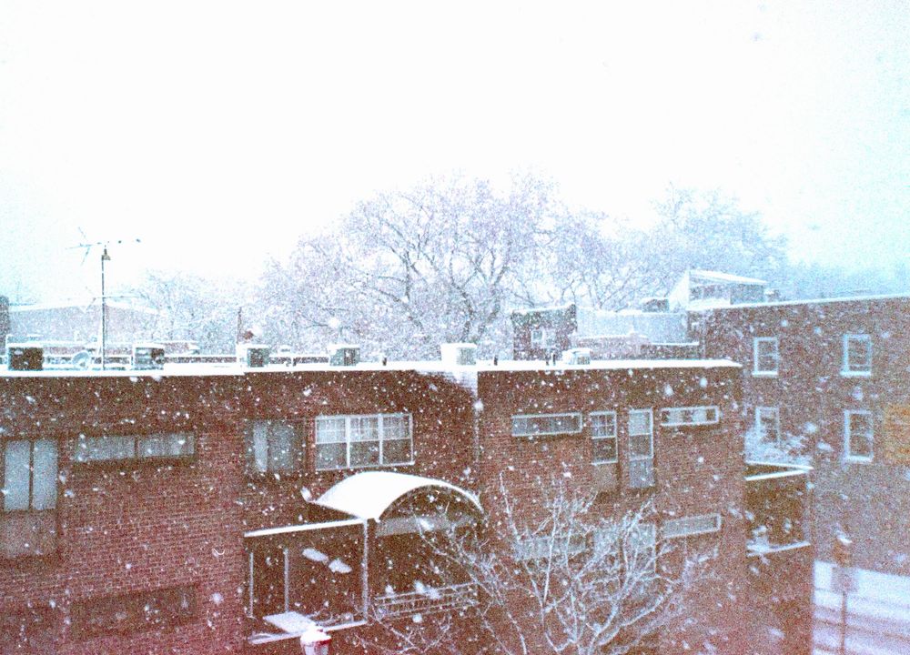 Snow falling on residential buildings with bare trees in a winter cityscape.