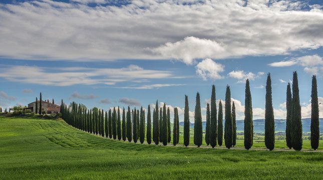 PORTFOLIO DAY WORKSHOP TOSKANA ITALIEN FOTOGRAFEN