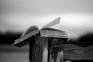 Black and white close-up of weathered book pages against blurred background.