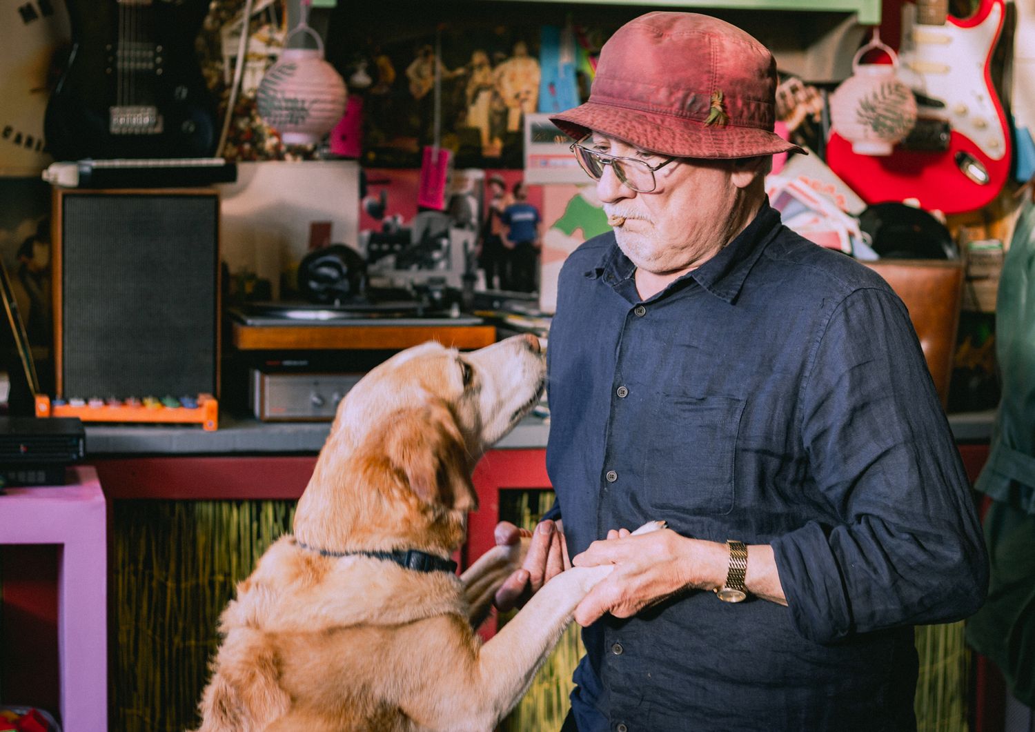cafe-pet-friendly-rhos-1