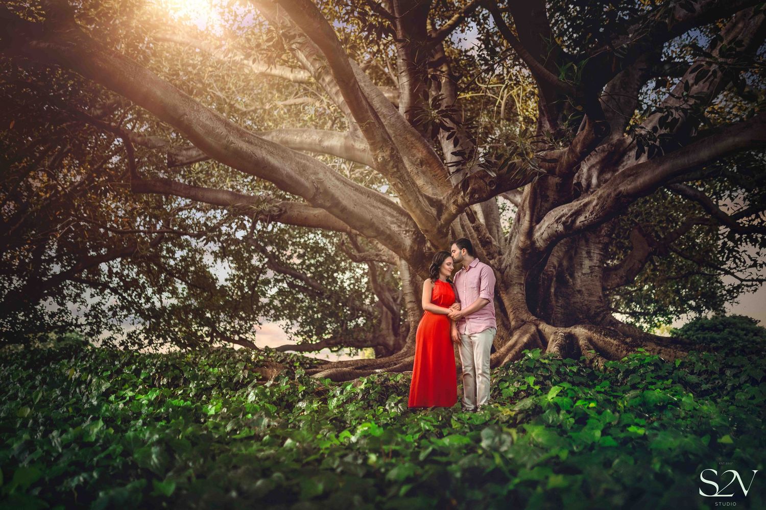 Artistic couple portrait against large tree with sunlight streaming through branches.
