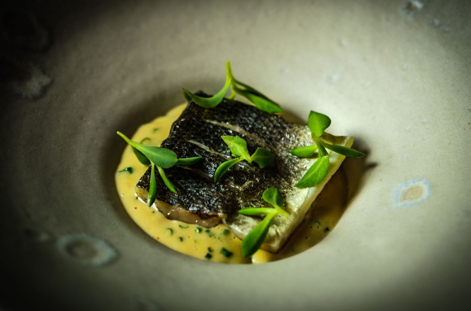 A thick creamy sauce photographed by Simon Robertson