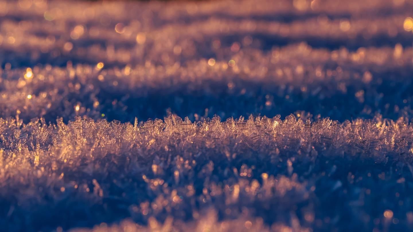 Close-up of frost crystals illuminated by golden sunlight.