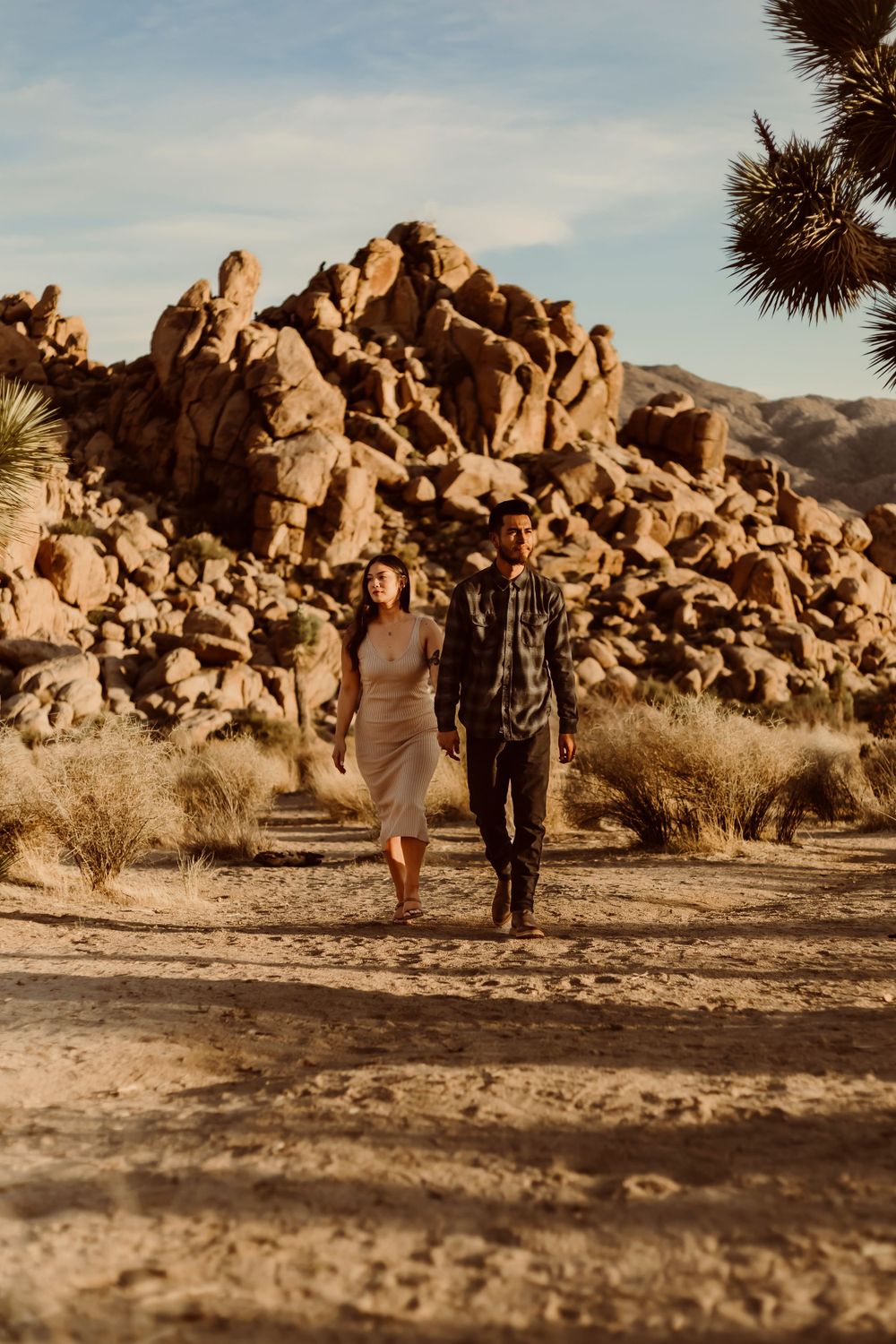 Engagement photography in the Joshua trees at Joshua Tree National Park.