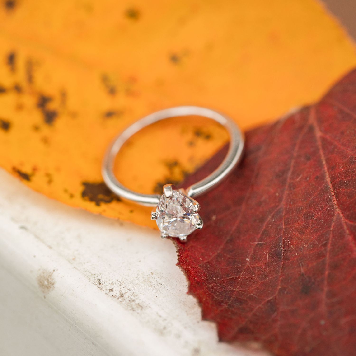 A diamond solitaire engagement ring photographed on autumn leaves.