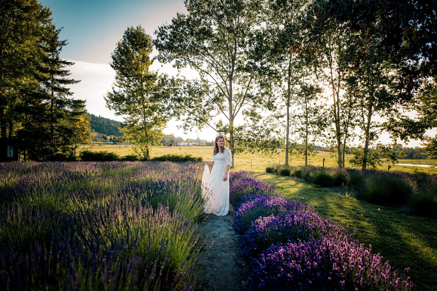 Model photograph at the Lavender Fields in Sequim, Washington,