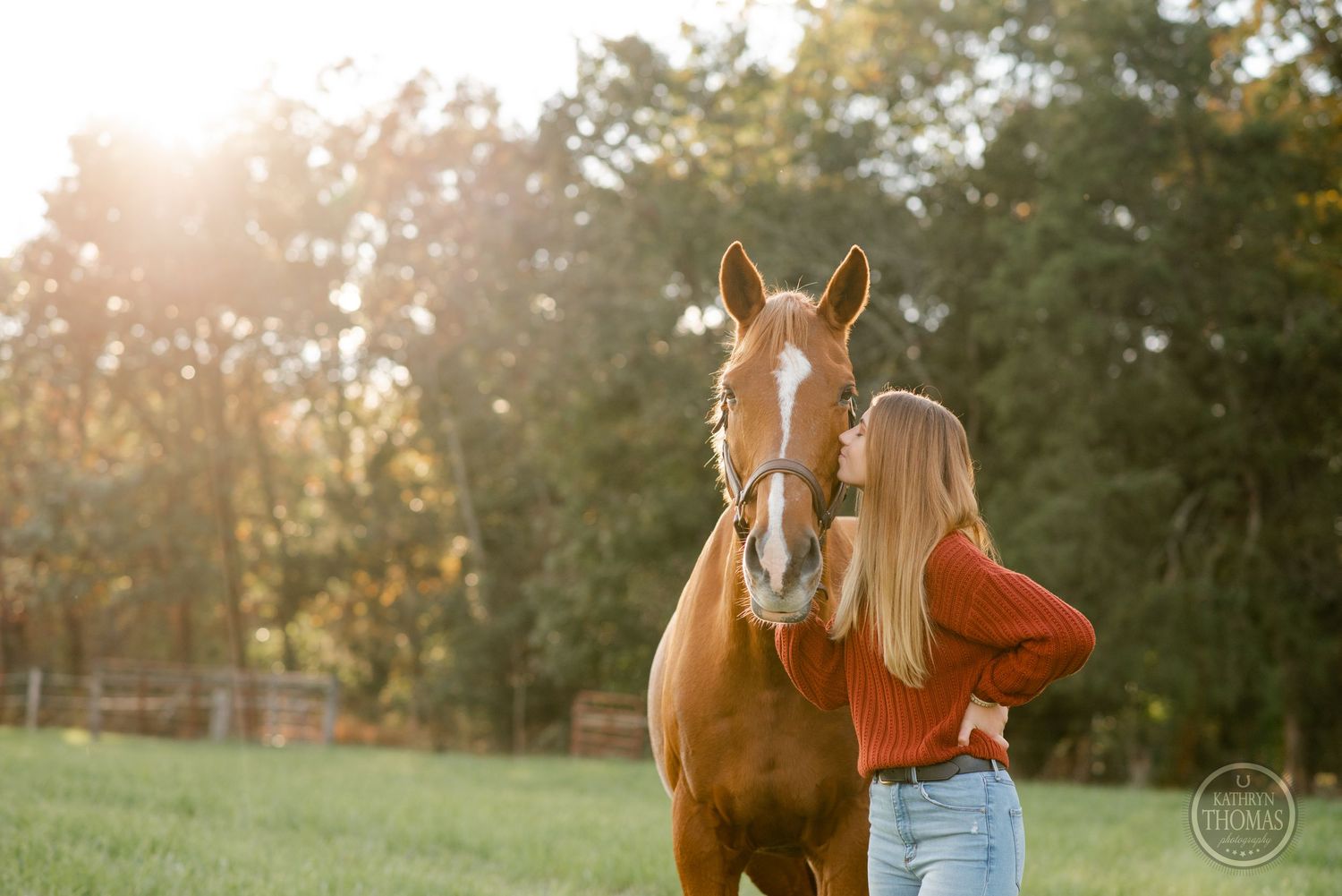 Warm sunset light bathes a horse and companion sharing a moment in a pastoral setting.