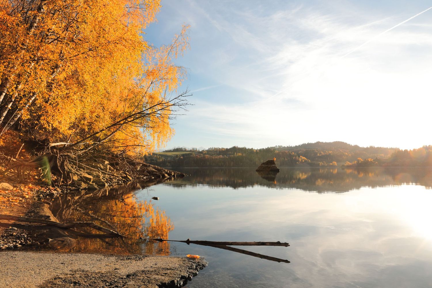 Golden autumn trees reflecting in still lake water during sunset with misty atmosphere.