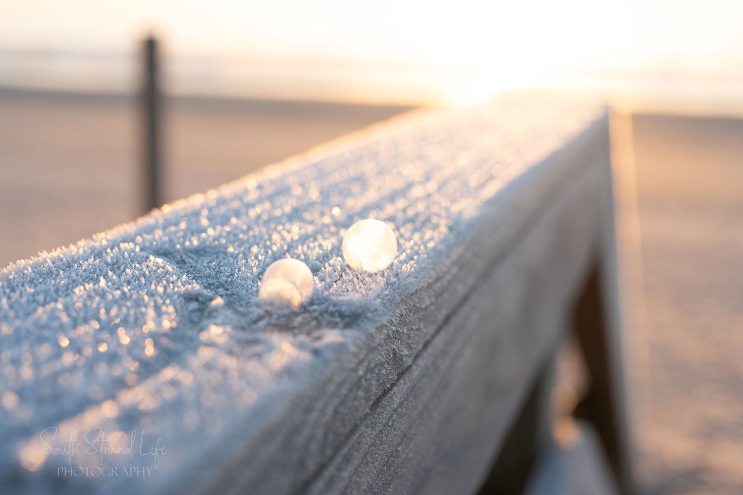 Frozen Ice bubbles