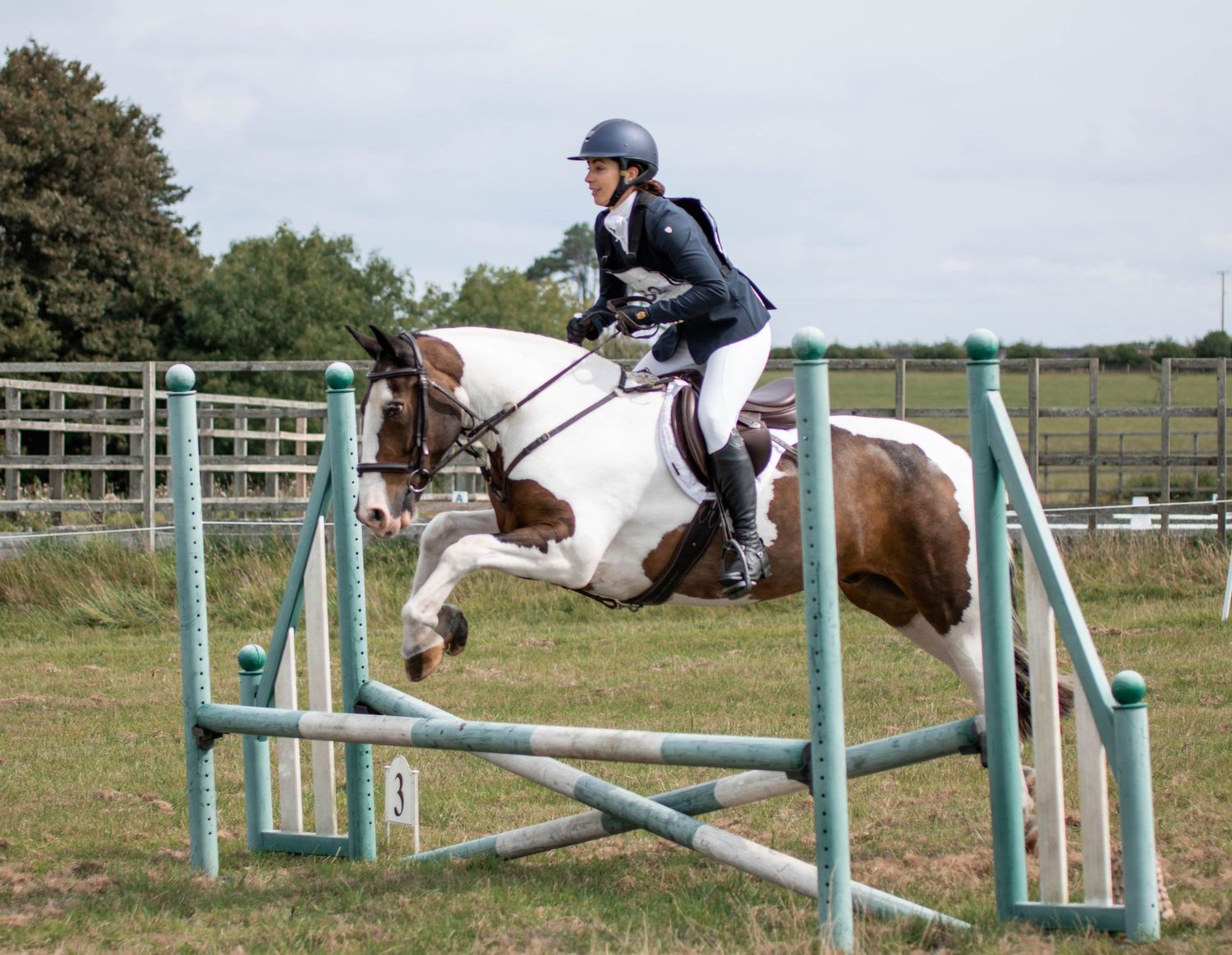 Equestrian jumping sequence showing horse and rider clearing multiple blue and white obstacles on a sunny day.