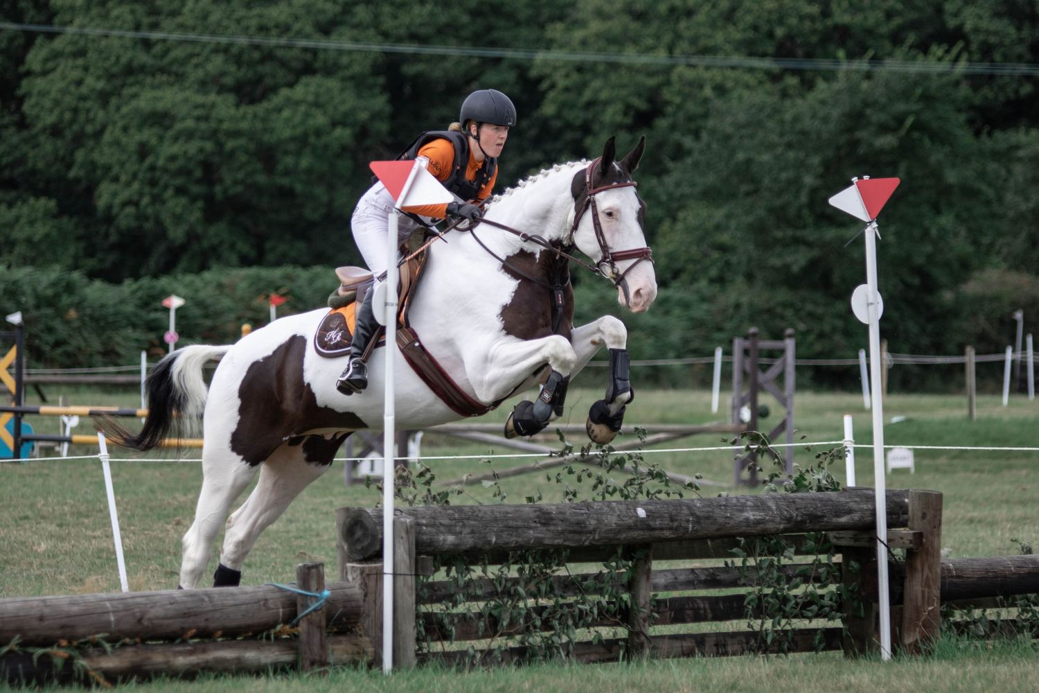 Multiple views of cross-country jumping featuring horses clearing natural obstacles and fences.