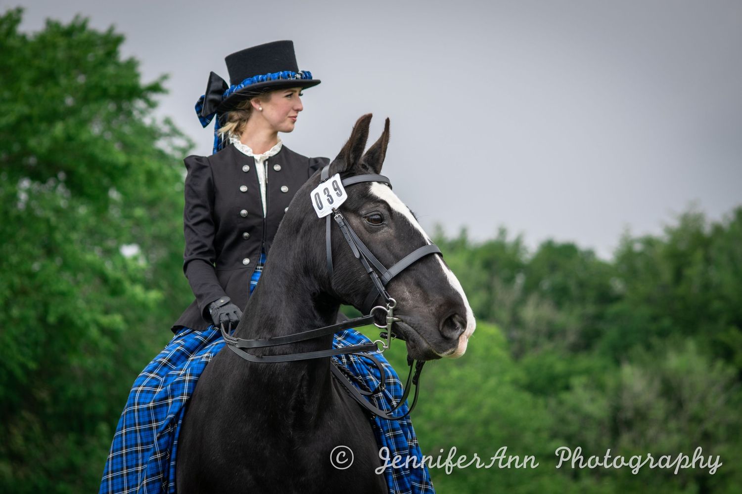 Horse in blue and black riding attire photographed in multiple frames during competition.