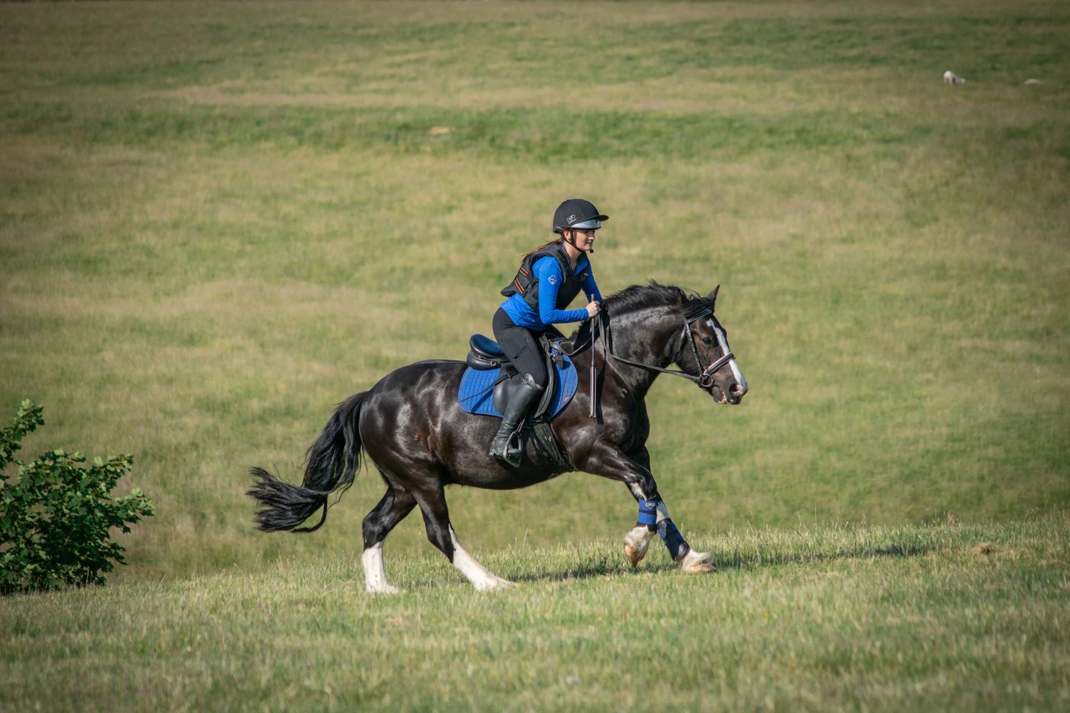 Series of action shots showing horse and rider navigating cross country jumps on grassy terrain.