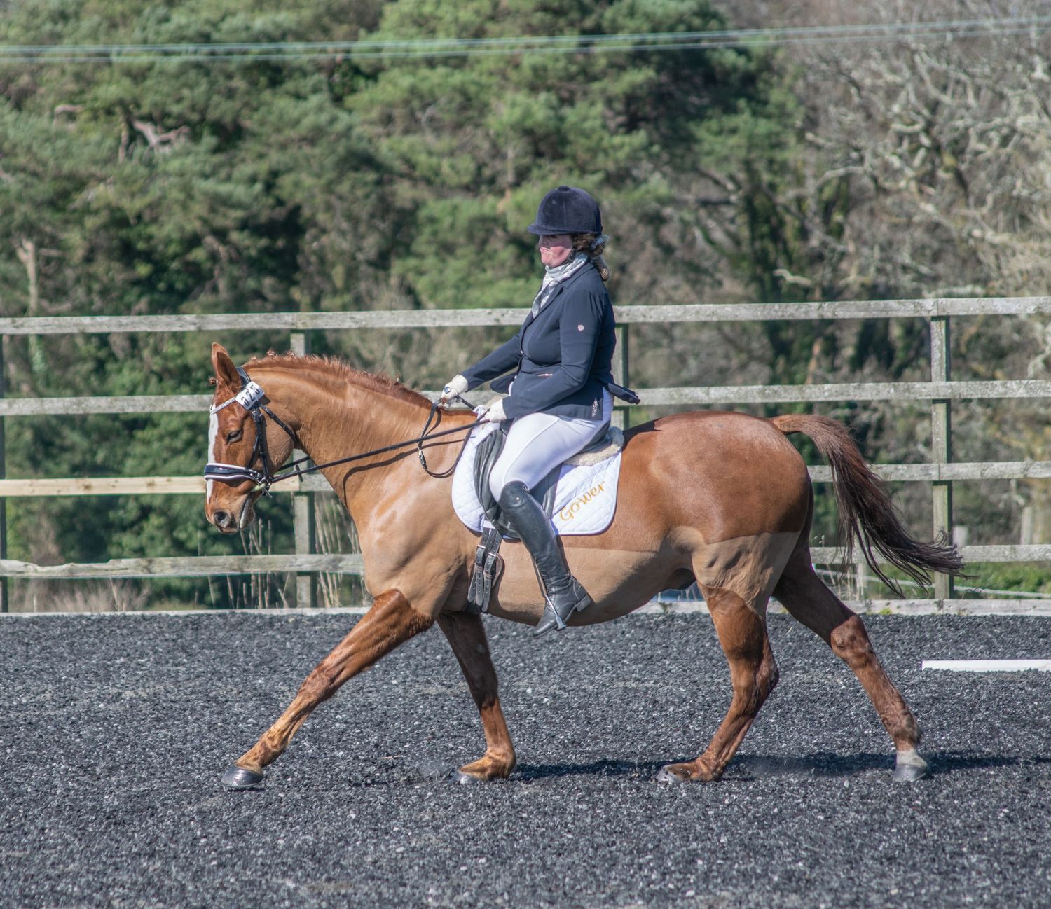 Horse and rider performing dressage movements in a large outdoor arena.