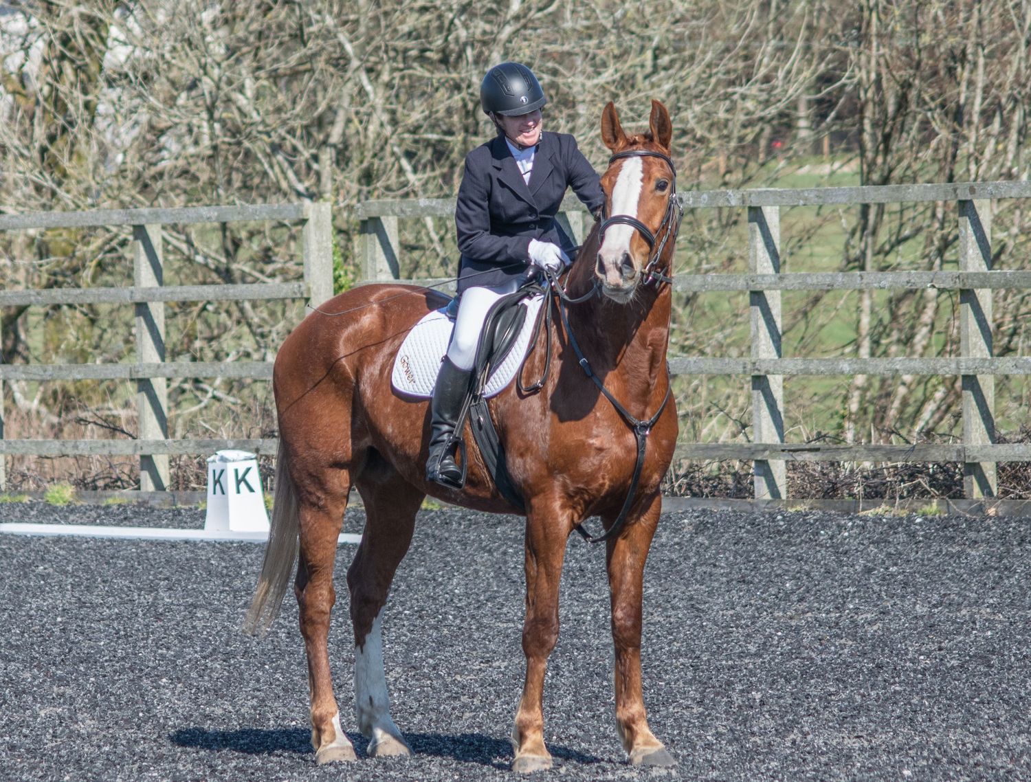 Riders training on horseback in a professional riding arena with wooden fencing.