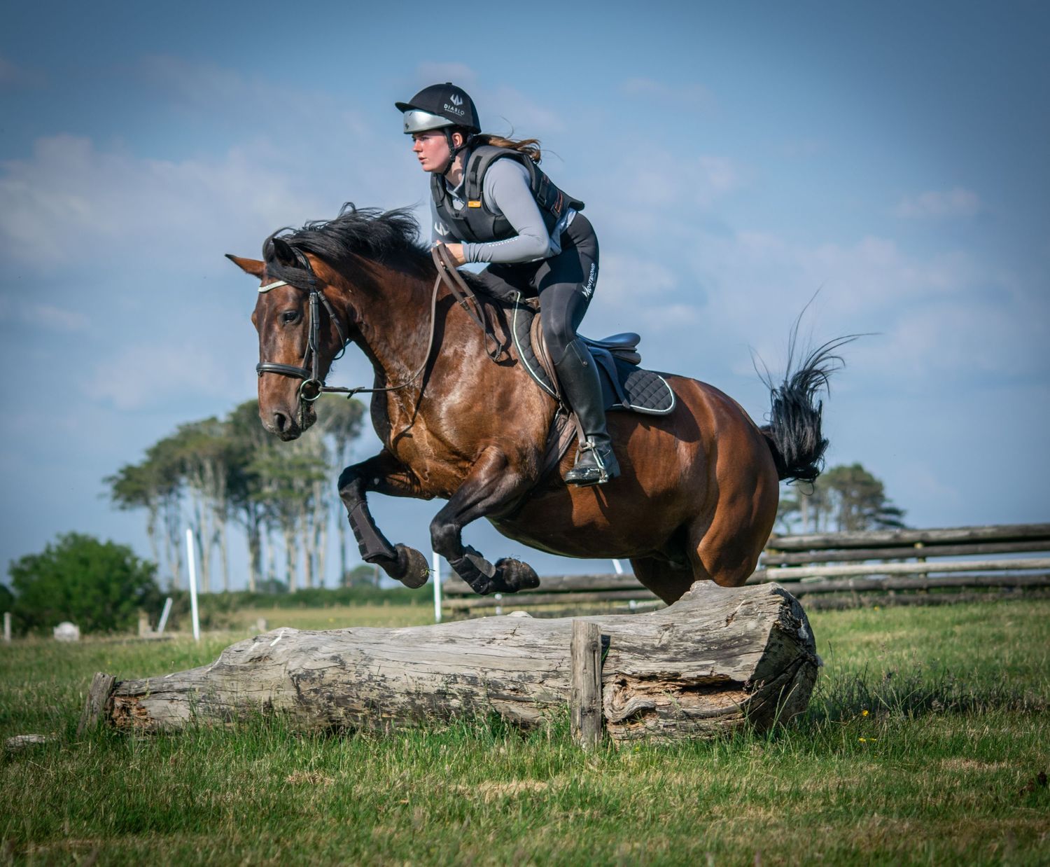 Sequence of equestrian jumping photos showing horse and rider clearing obstacles on grassy course.
