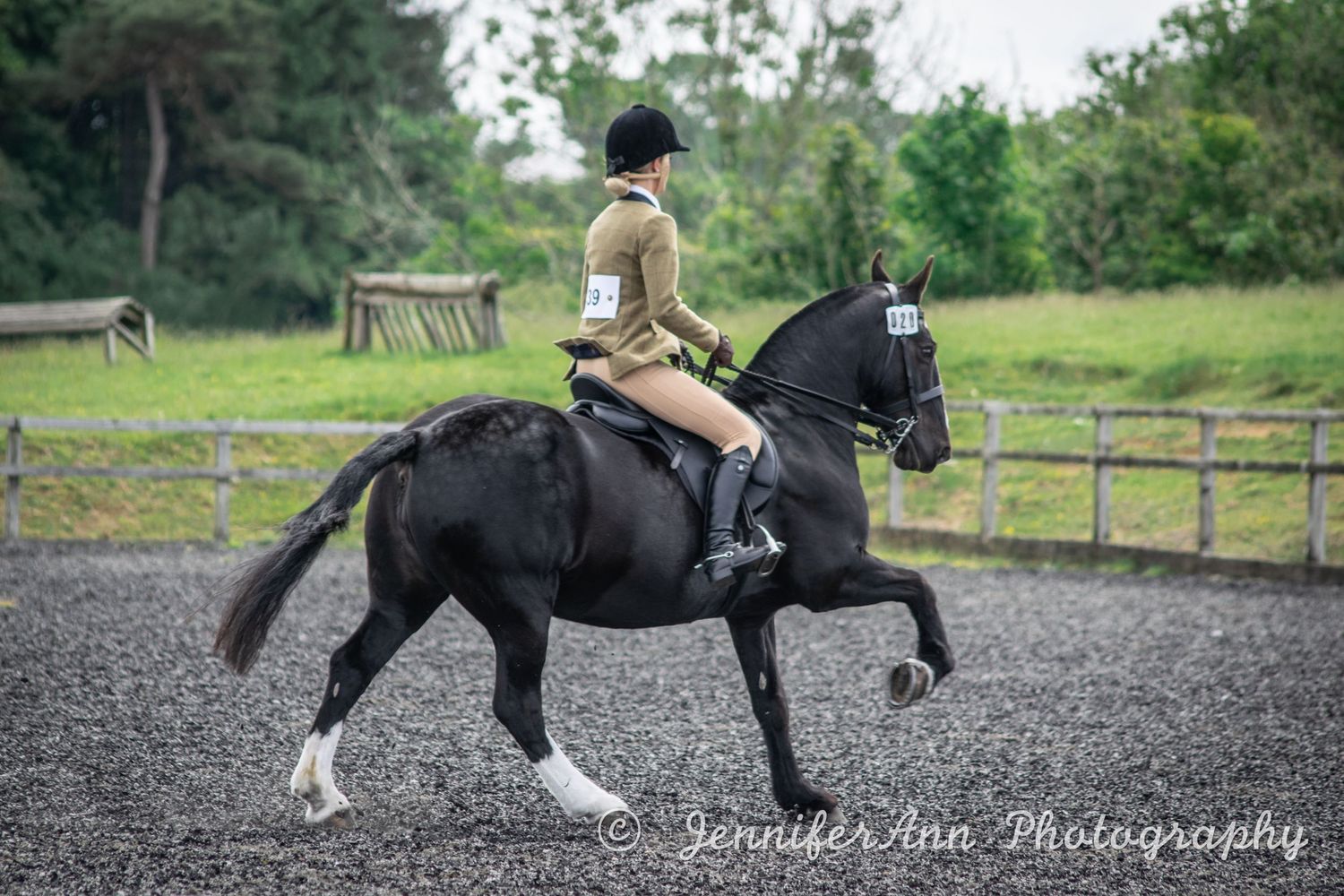 A black horse being ridden in a sandy arena surrounded by greenery.