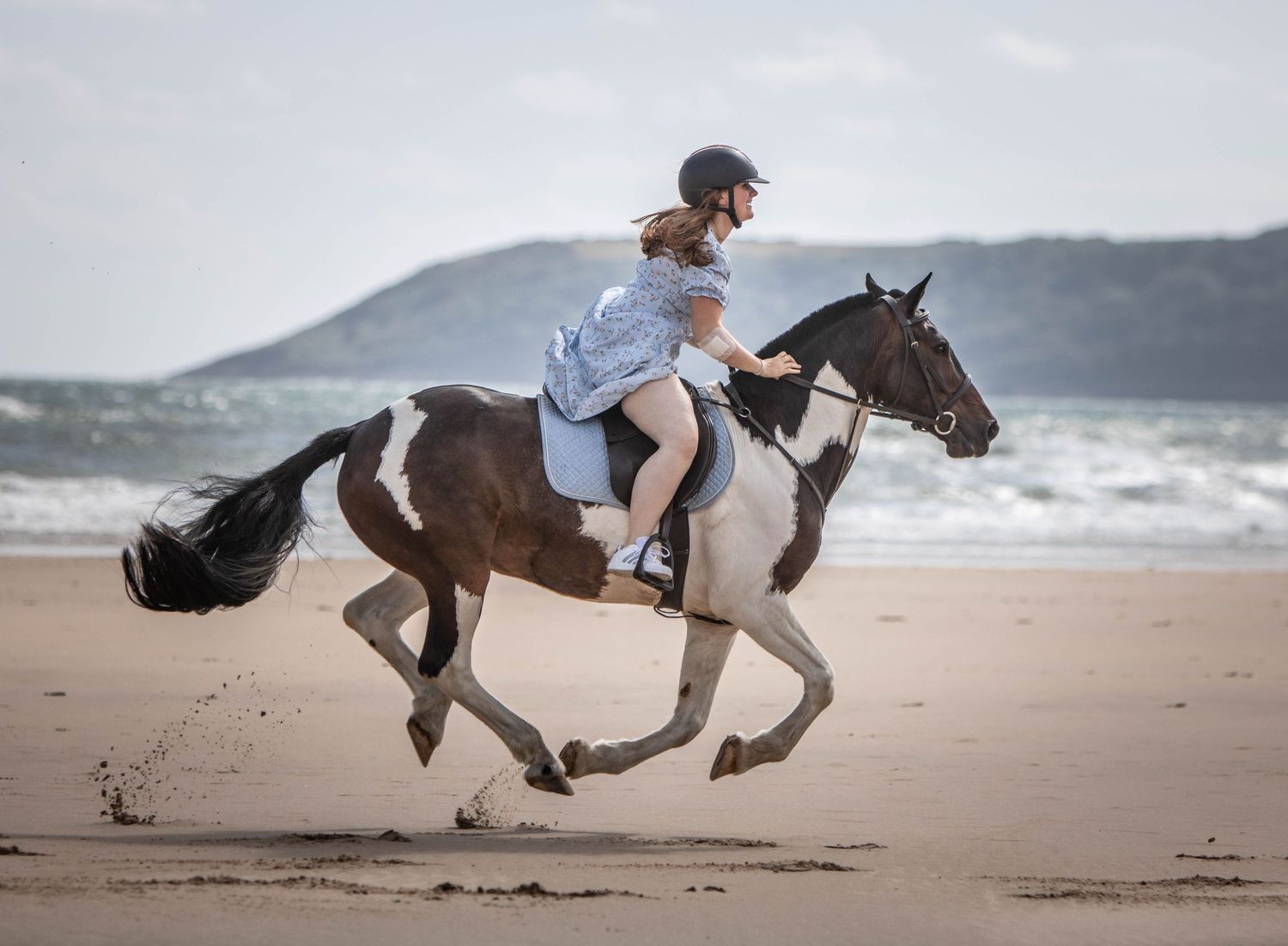 A paint horse gallops energetically across a sandy beach with mountains visible in the distance.