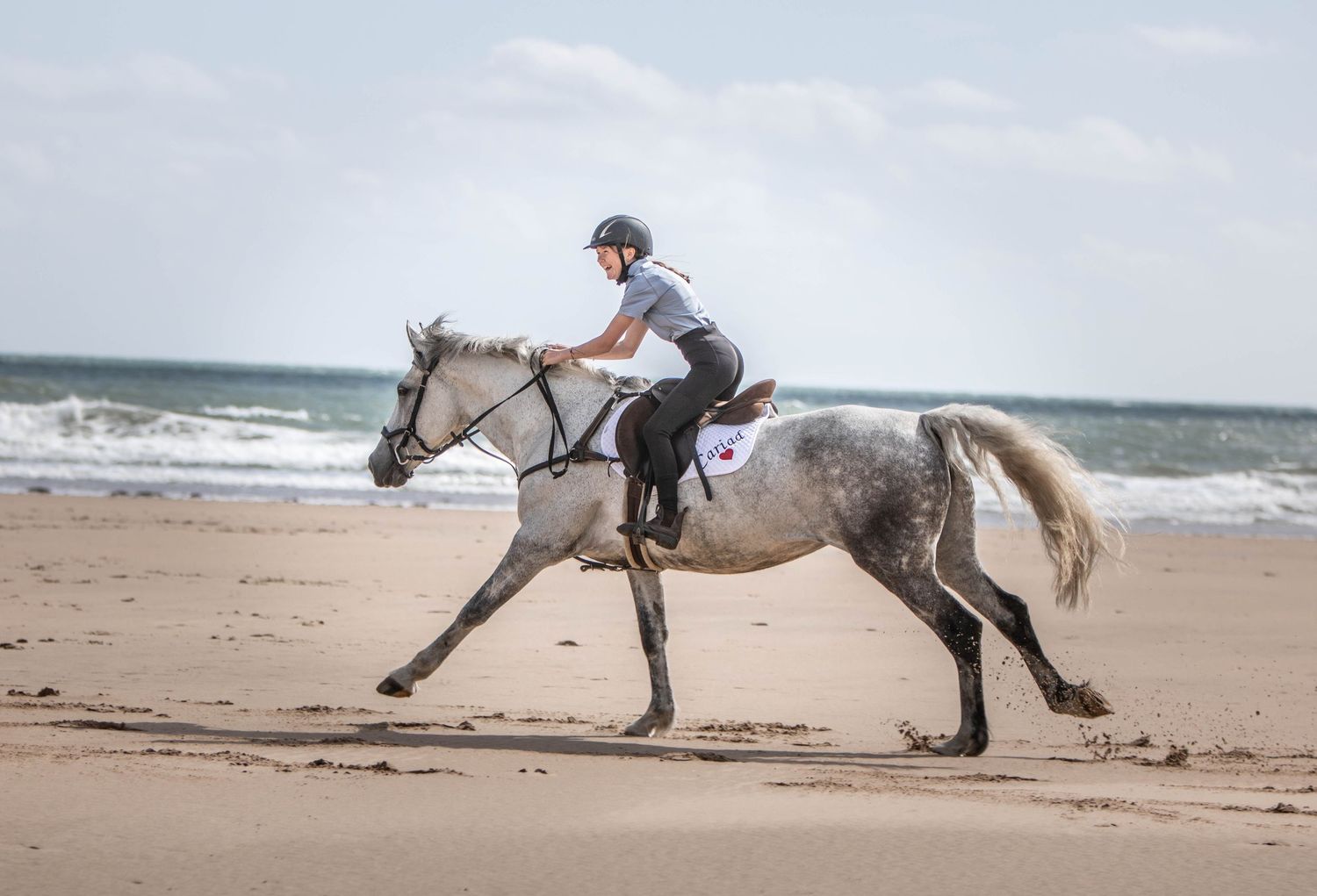 A grey and white horse canters elegantly along the shoreline during a beach ride.
