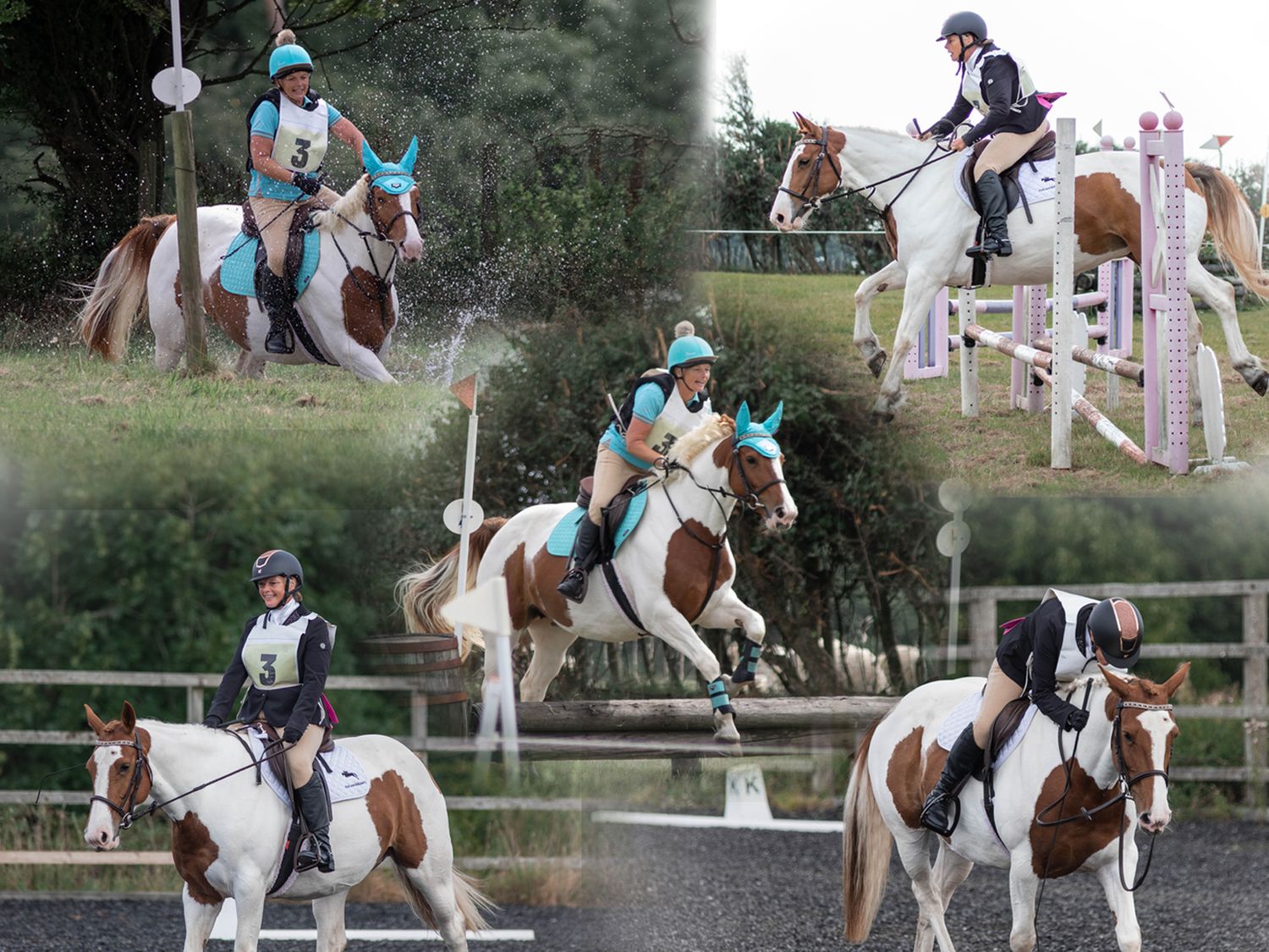 A collage of equestrians jumping obstacles in show jumping competitions wearing light blue uniforms.