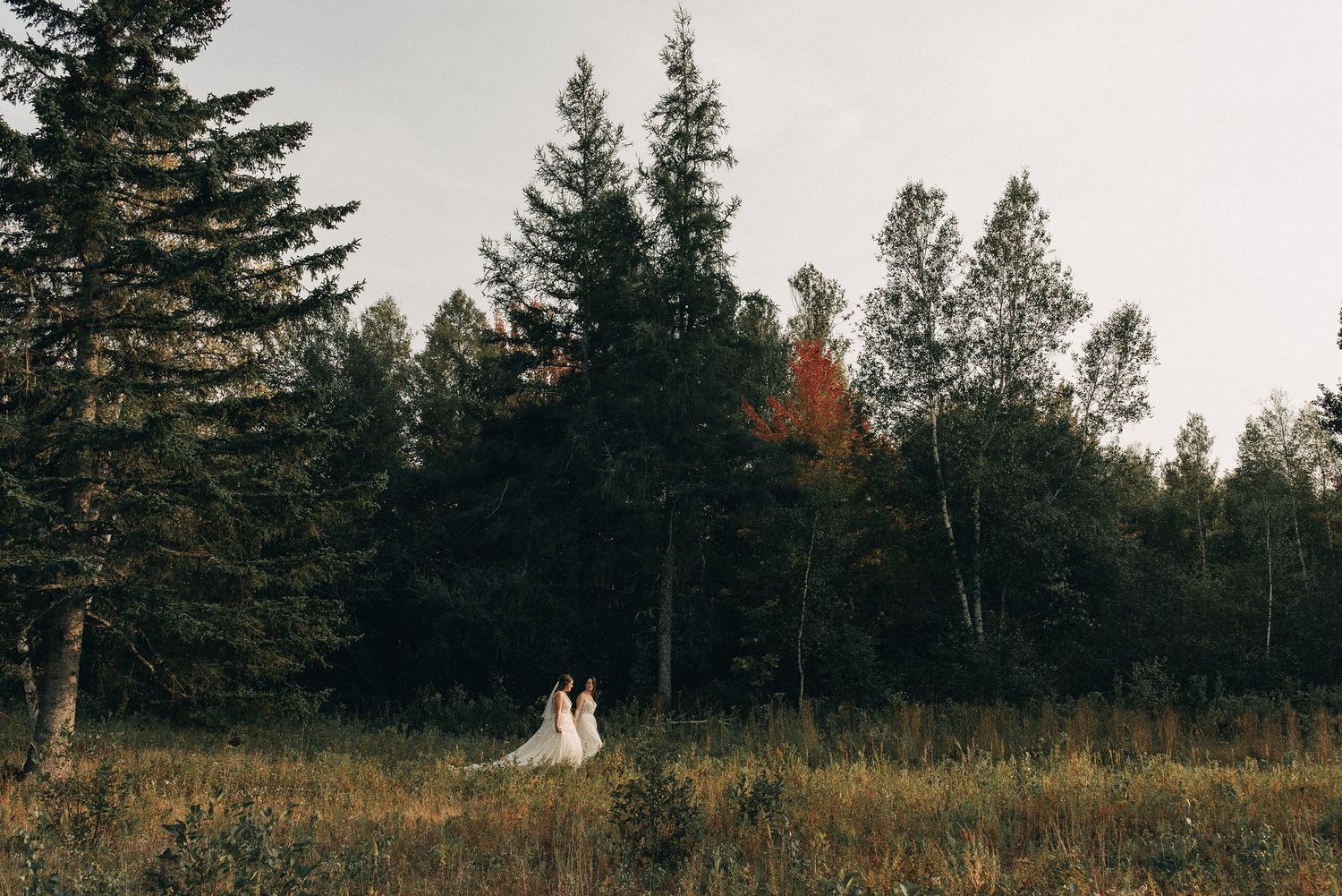 A distant view of a couple in wedding attire standing in a field near an autumn forest.