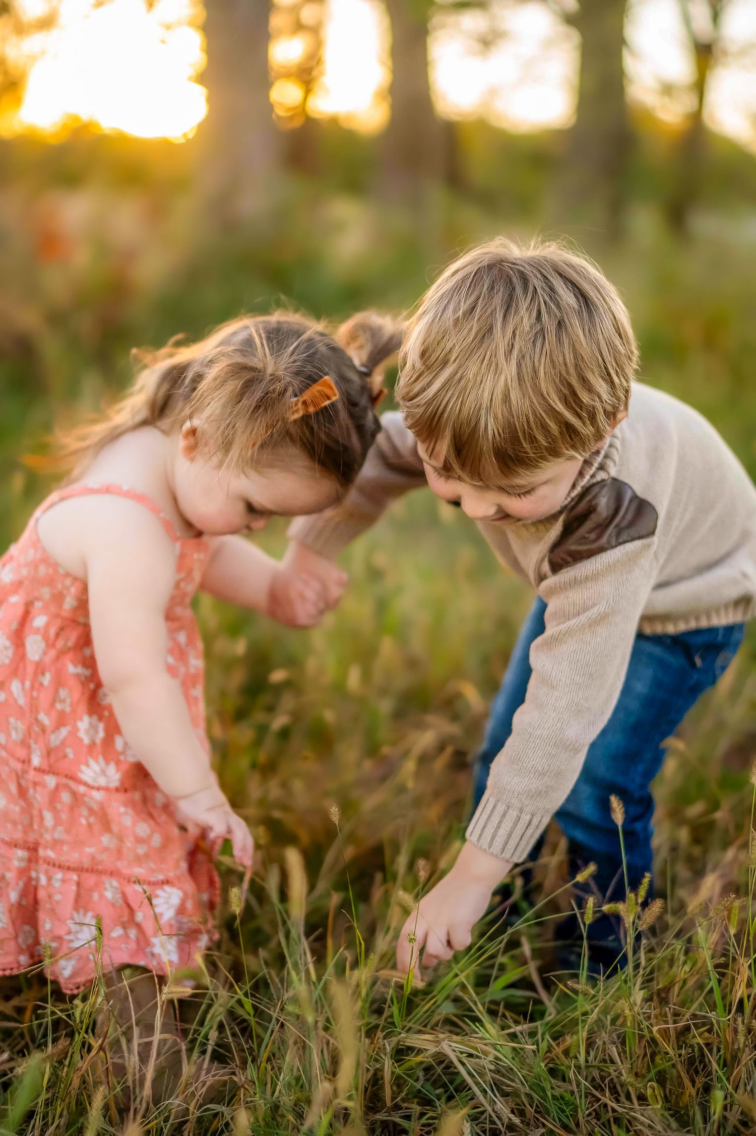 Two children bend down to examine something in the grass during a sunset photoshoot.
