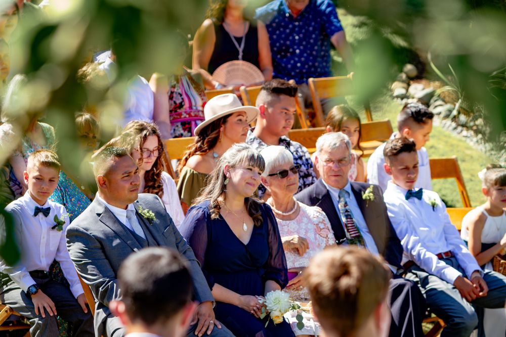 Wedding guests sit outdoors in chairs during a sunny garden ceremony while enjoying live violin music.