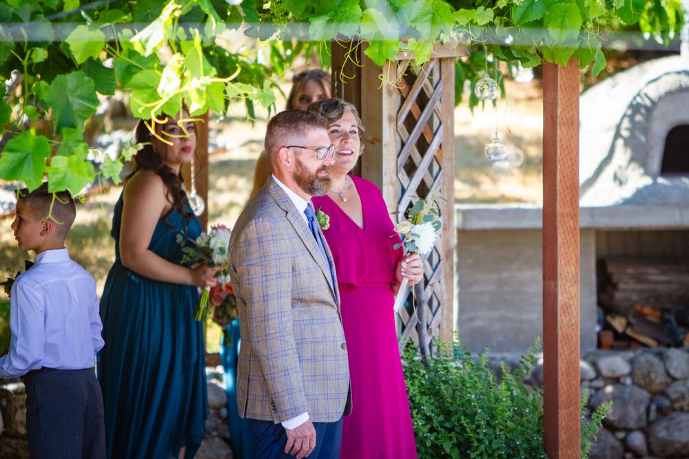 Wedding guests gather under a vine-covered pergola during an outdoor celebration.