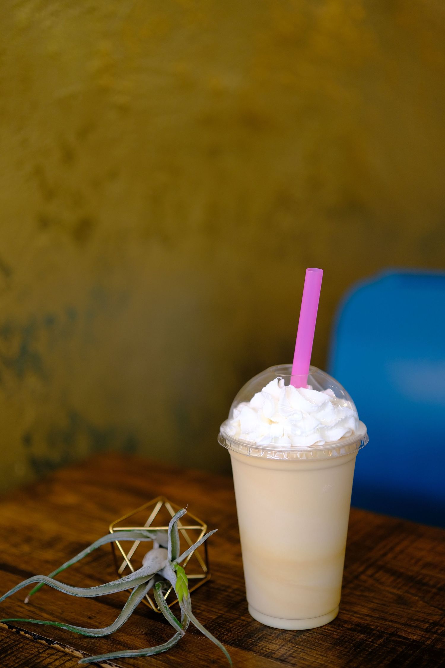 Catalpa Caramel Milkshake