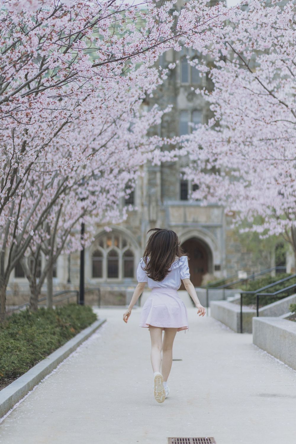 Person in white dress twirls joyfully beneath blooming cherry blossom trees.