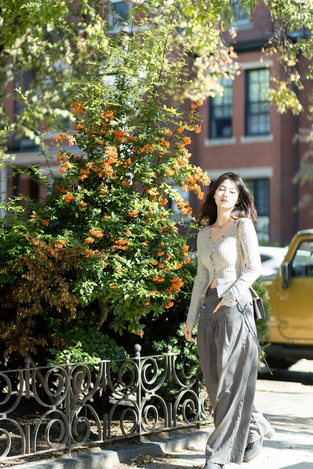 Urban garden scene with orange blossoms and decorative iron fence.