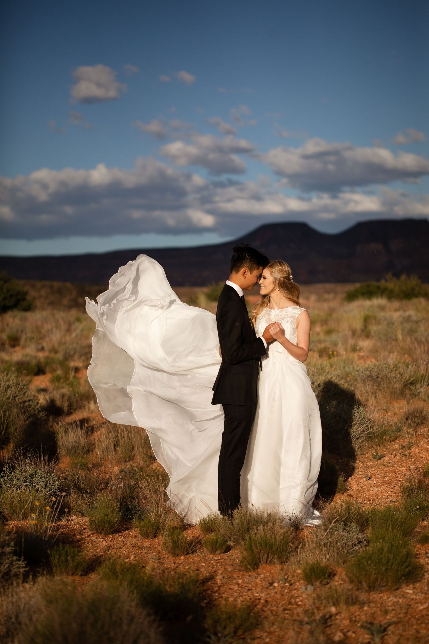 Couple posed in the desert for their first look.