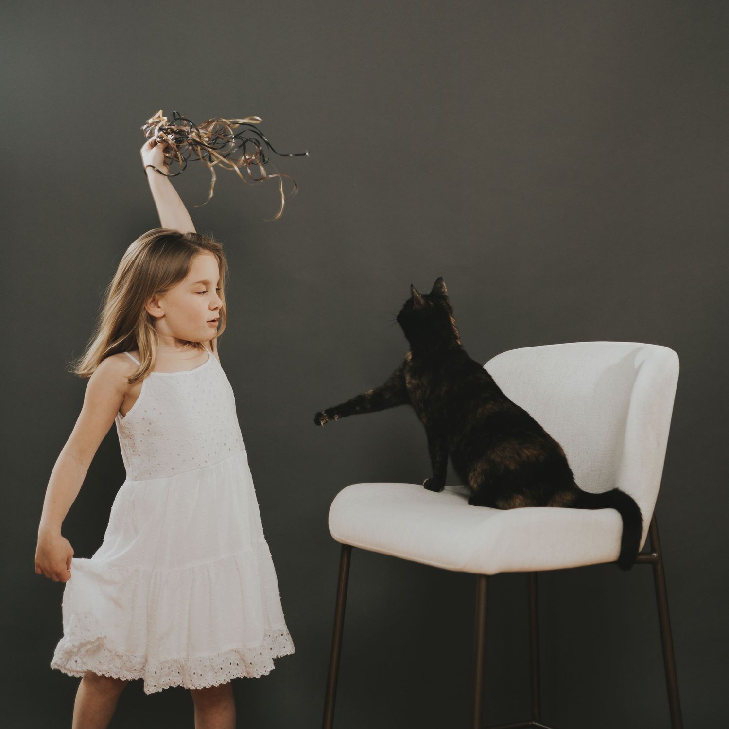 A black cat sits on a white chair while someone holds a branch overhead in a studio setting.