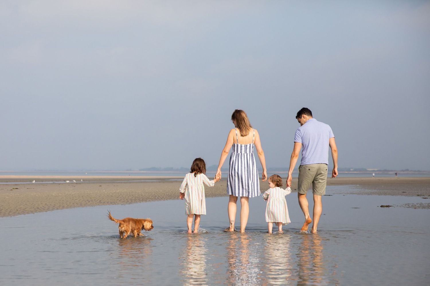 Family and dog walking together at low tide on a misty beach.