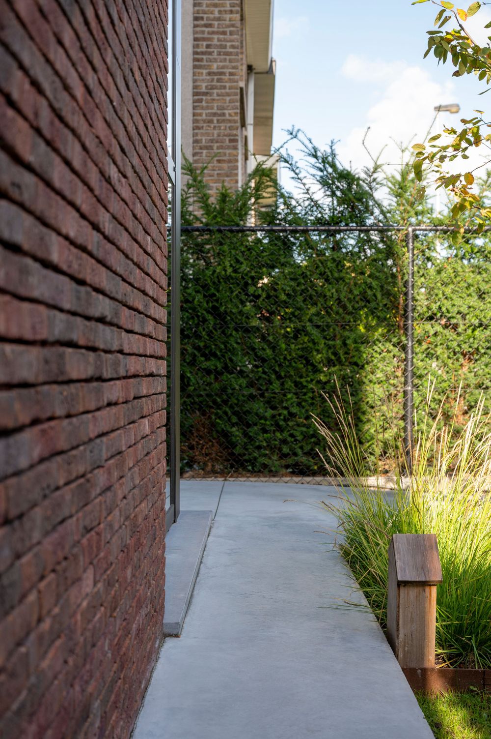Concrete walkway lined with ornamental grasses and red brick walls in a modern garden setting.