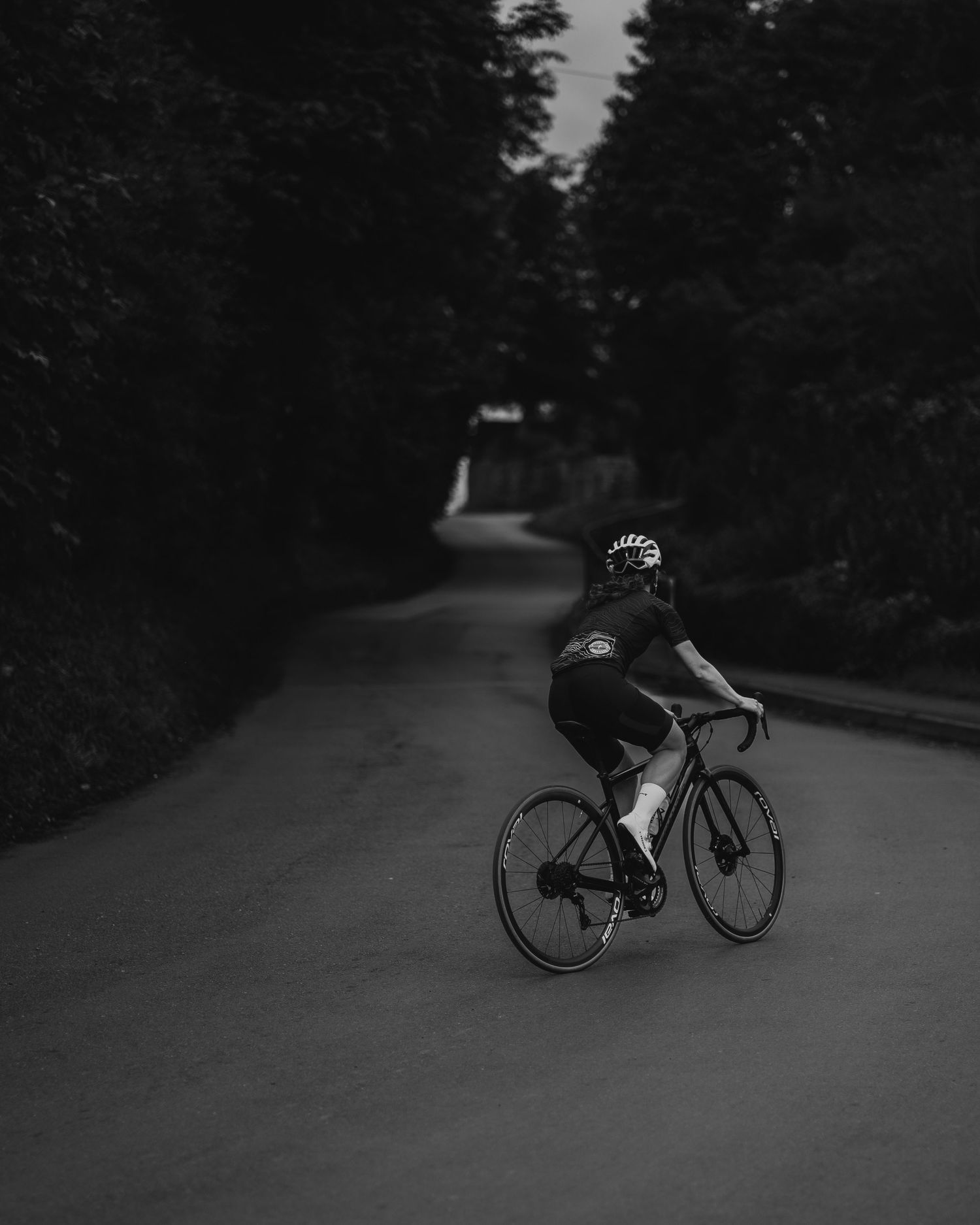 Silhouette of cyclist riding on empty tree-lined road at dusk.