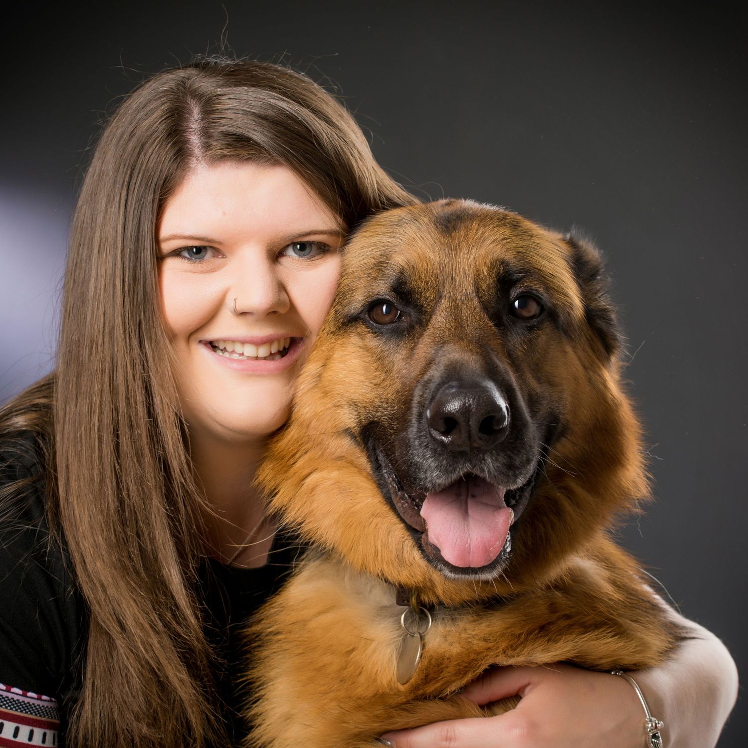 German shepherd portrait