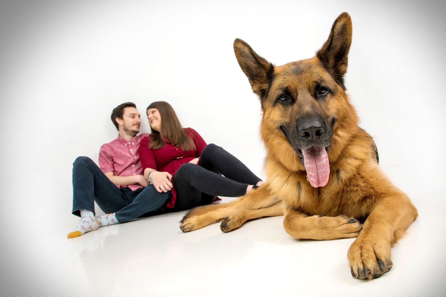 couple and German shepherd in the studio