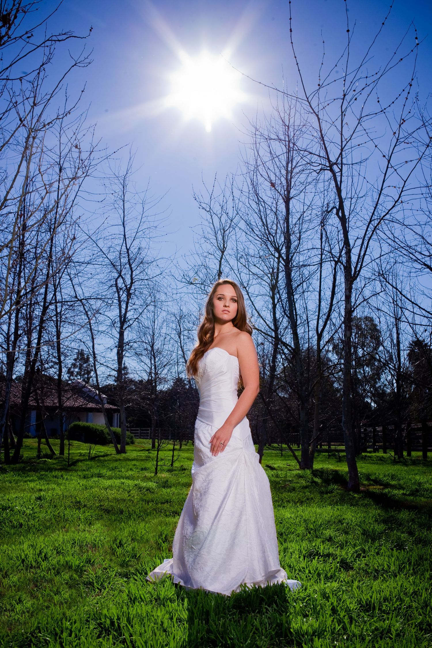 A white wedding dress photoshoot in a grassy field with bare trees and bright sunlight overhead.