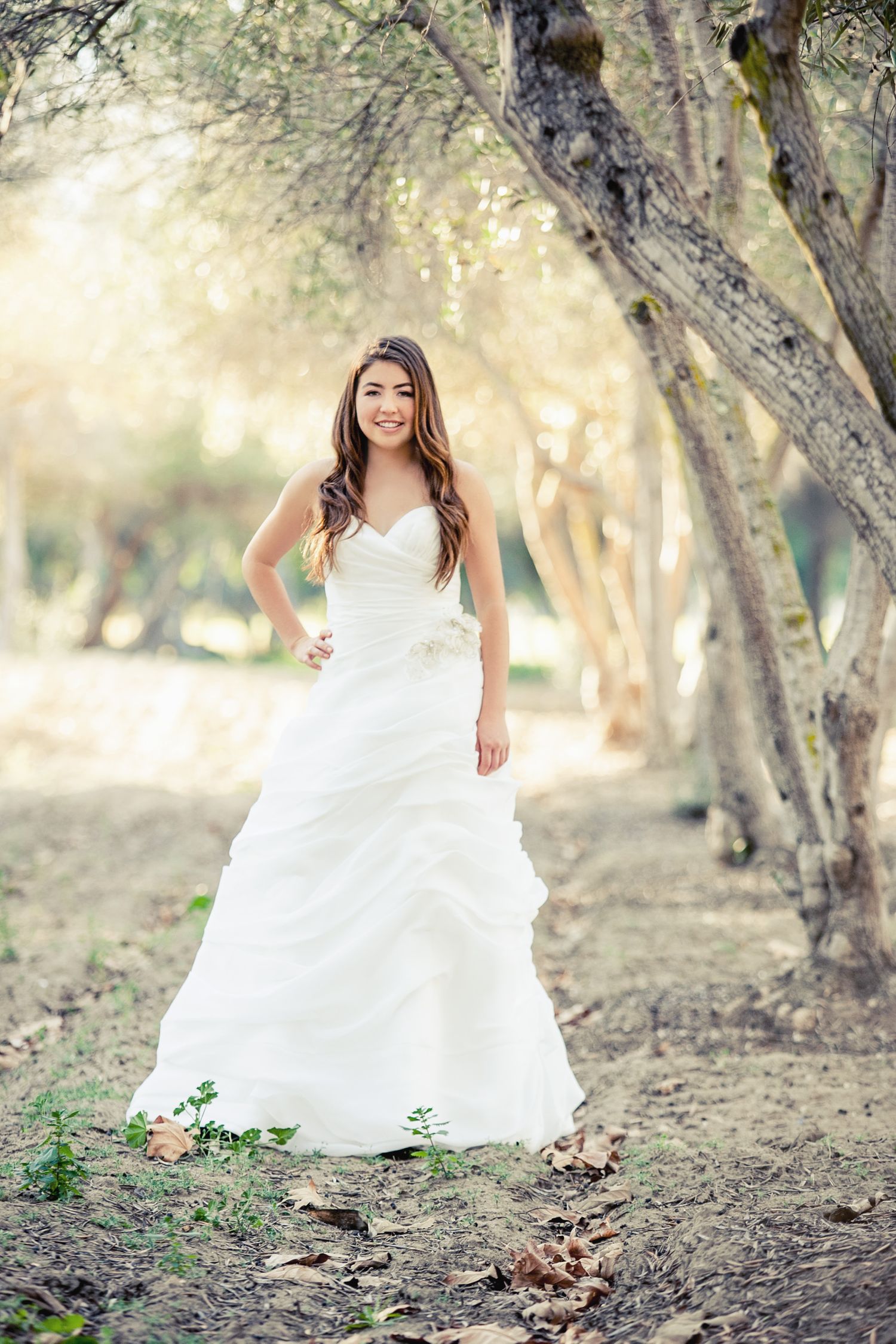 White strapless wedding dress showcased against a dreamy forest backdrop with dappled sunlight.