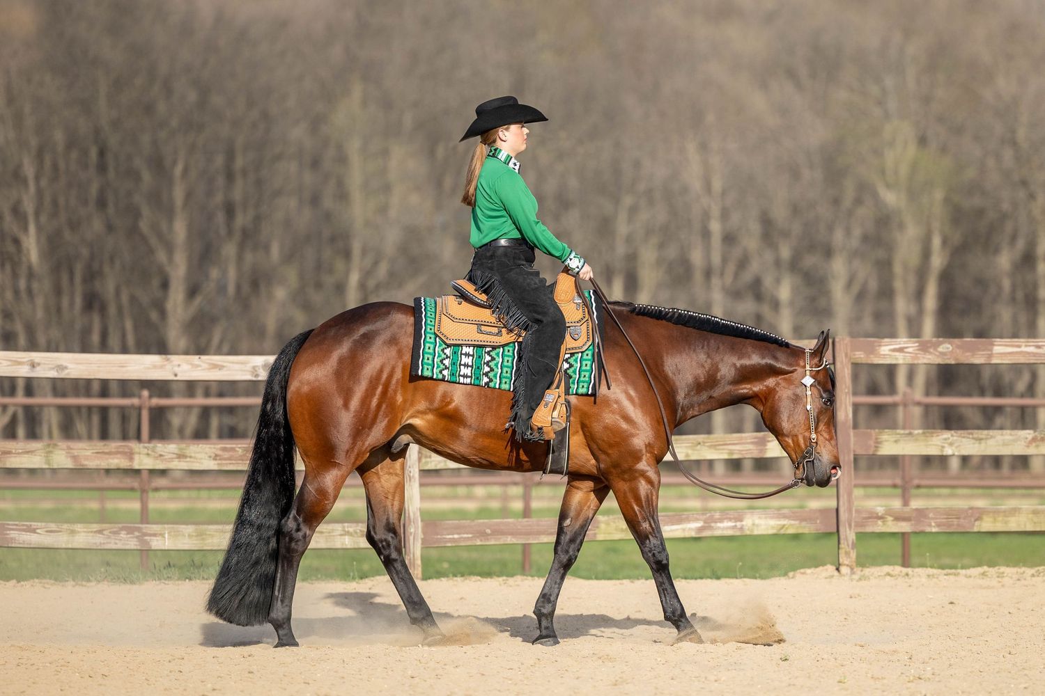 Addyson and Ross horse and rider session