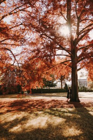 Oklahoma State University Senior Photos